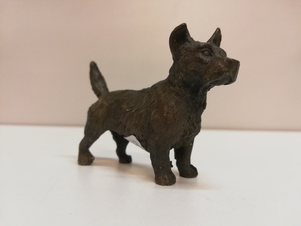 Bronze- Terrier